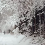 Зима возвращается: сильные морозы до -18°С и снегопады вновь обрушатся на Казахстан