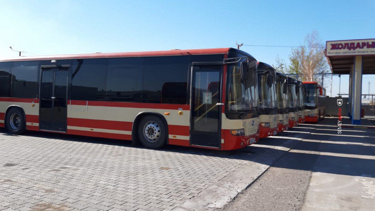 В Семее появились новые автобусы - Semey Ainasy