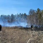 Лесной пожар в Бородулихинском районе локализован