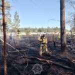 Информация  от ДЧС о природном пожаре в области Абай