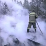 Основные причины лесных пожаров назвали в МЧС РК