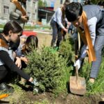 Выпускники области посадили более 4 тысяч деревьев