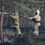Службу охраны и защиты лесного фонда создали в Казахстане