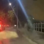 Кабаны на дороге: ночное ЧП обсуждают в Семее