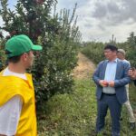 Делегация области Абай посетила Туркестанскую область