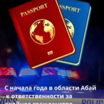 С начала года в области Абай  к ответственности за двойное гражданство привлечены 15 человек