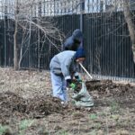 Аким области поручил активизировать работы по благоустройству