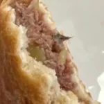 Школьную столовую в Семее закрыли после «начинки с шерстью»