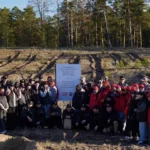 Home Credit Bank внес вклад в восстановление леса в Абайской области