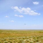 В области Абай неиспользуемые сельскохозяйственные земли досрочно возвращены в государственную собственность