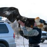 В области Абай состоялся республиканский турнир беркутчи «Абай салбурыны – 2025»
