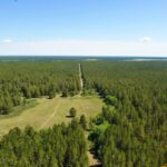  Беречь лес – обязанность каждого поколения: в Семее провели экологическую лекцию для студентов