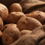 Минсельхоз пообещал стабильные цены на картофель: урожай увеличен, дефицита не ждут
