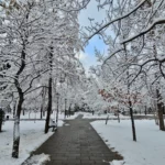 Какой будет зима в Казахстане