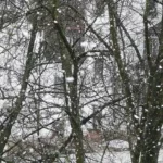 Метель, гололед и туман: штормовое предупреждение объявили в Казахстане на вторник