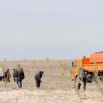 Аким области: Работы по обеспечению чистоты в регионе должны вестись круглый год – зимой и летом