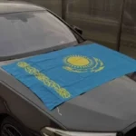 Патриотизм не наказуем — Минкультуры о флаге на автомобилях 