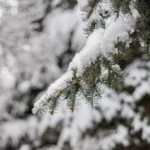 Морозы до -28°С, снег и метель обрушатся на Казахстан