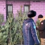 В области Абай проходит ОПМ «Ель»