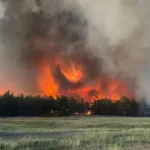 Грозы стали причиной рекордного числа лесных пожаров в области Абай
