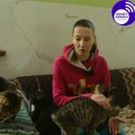 Здесь спасают жизни: как приют «4 лапы+» в Семее пережил пожар и продолжает бороться за бездомных животных