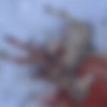 Гибель косули в Карагайлы вызвала споры о безопасности и ответственности жителей