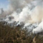 Пик природных пожаров прогнозируют в области Абай