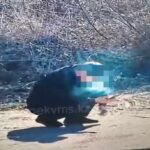 С начала года в области Абай в рамках акции «Таза Қазақстан» пресечено 6 870 правонарушений