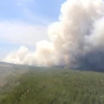 В “Семей орманы” продолжают тушить пожар. Предварительная площадь возгорания – 60 гектаров